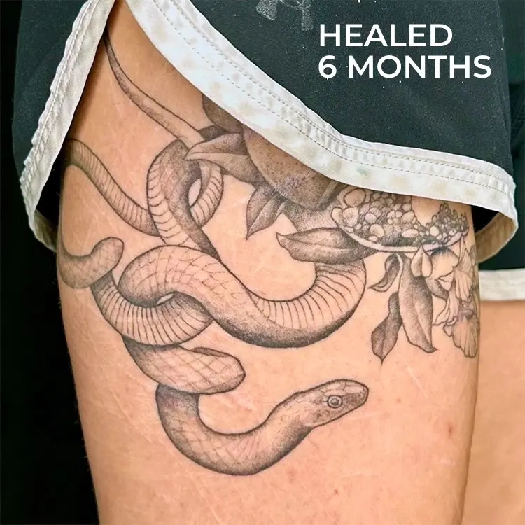 healed scar coverup tattoo snake dotwork floral pomegranate tattoo by ruby gore in portland oregon